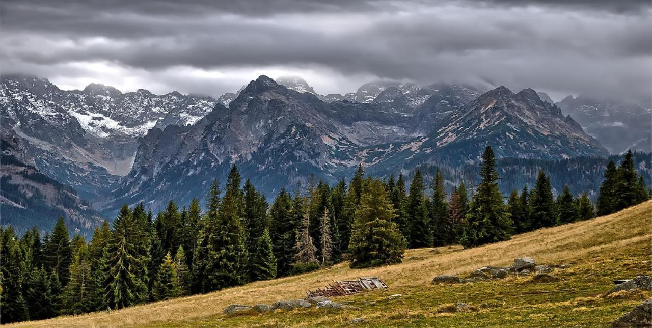 Appartamento Tatry Fimali Tatranská Lomnica Esterno foto