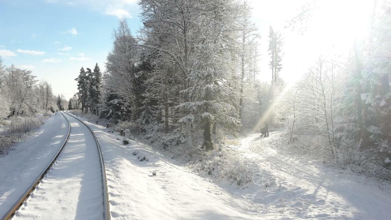 Appartamento Tatry Fimali Tatranská Lomnica Esterno foto